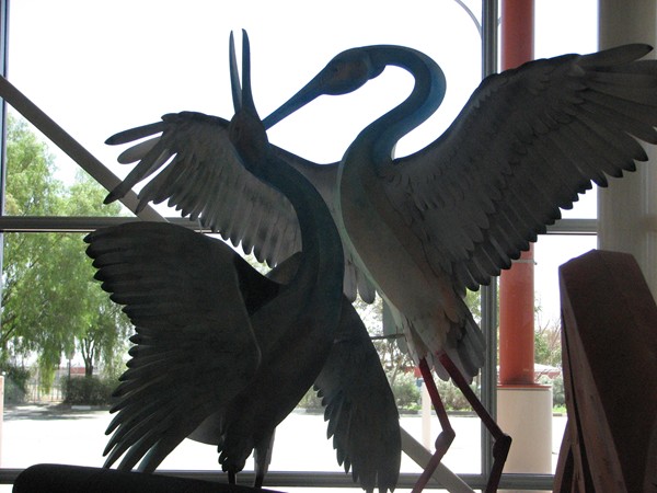 6. marts 2008 (IMG_1694)
